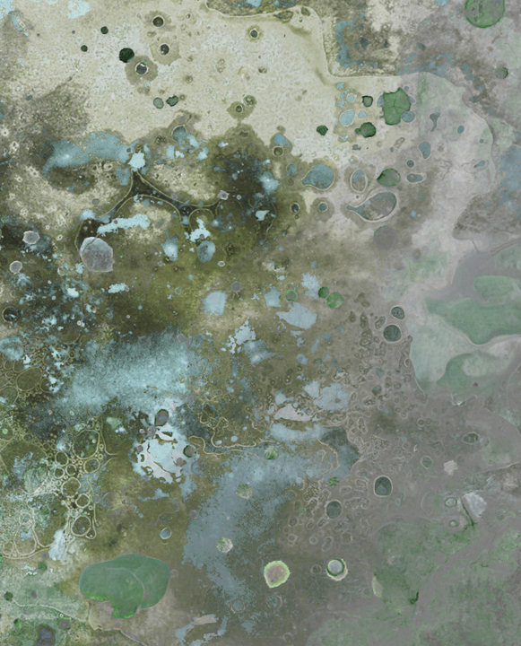 Lichen Bloom II, a textured abstract acrylic painting staged on a studio wall